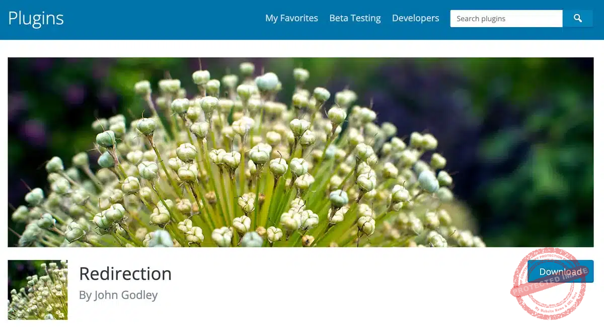 Redirection Plugin for WordPress
